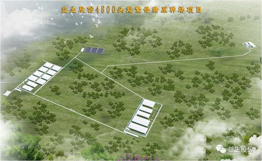 【喜讯】黑龙江优德88种猪繁育有限公司原种猪场建设项目开工