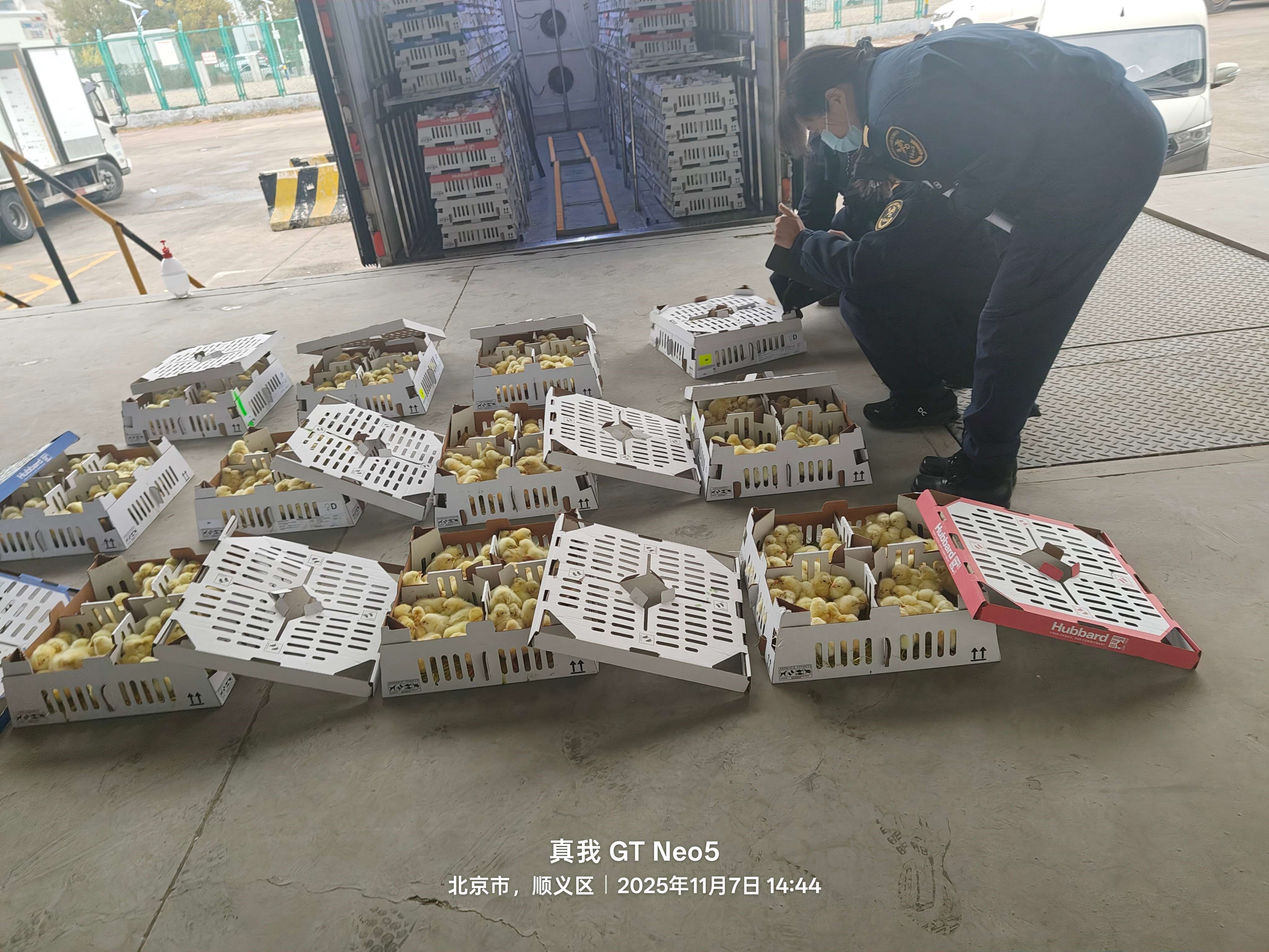微信图片_20251107162411(1).jpg