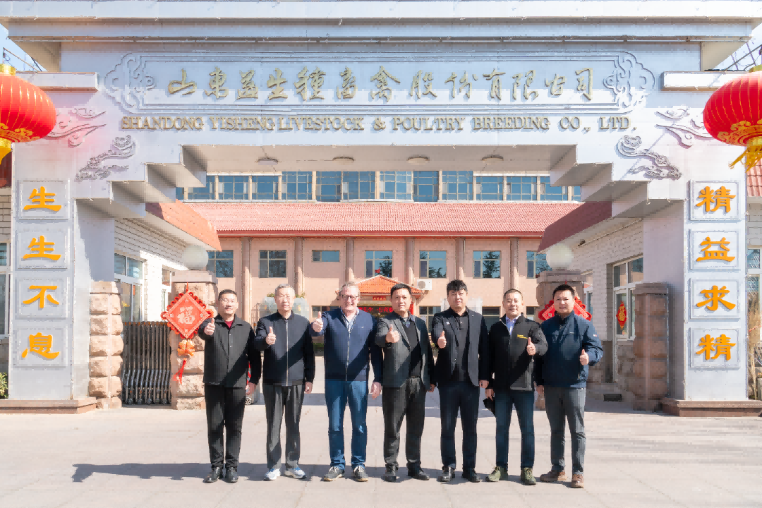 【会议】中德养猪技术专项座谈会圆满闭幕 共探优德88新丹系种猪养殖高质量发展新蹊径