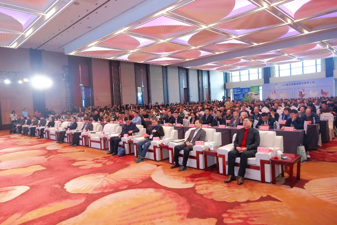 图片1(1).png