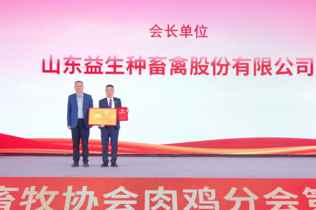 图片13.png
